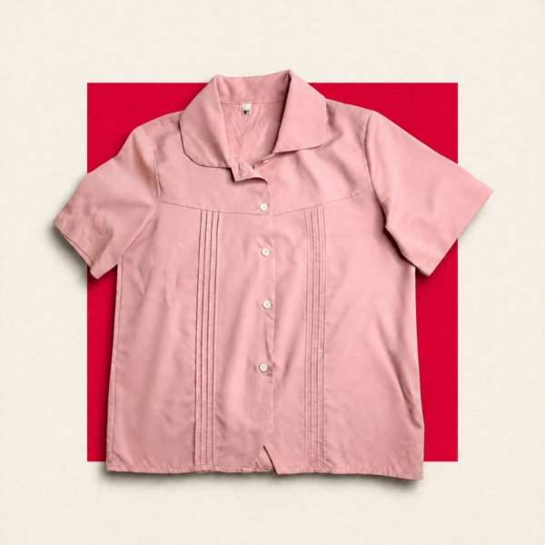 Blush Pintuck Blouse